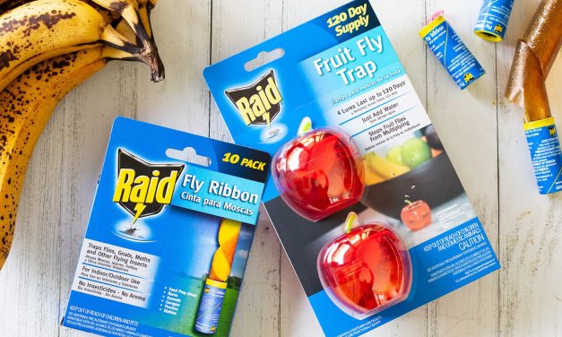 Pick Up A Super Deal On Raid Fly Ribbon And Fruit Fly Traps At Publix