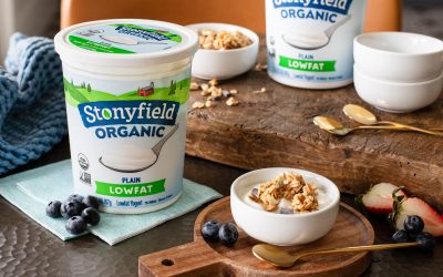 Refresh Your Fridge With Stonyfield Organic Staples – BOGO Sale At Publix