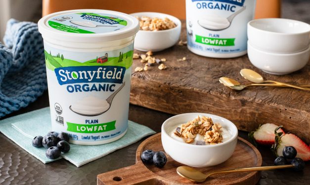 Refresh Your Fridge With Stonyfield Organic Staples – BOGO Sale At Publix