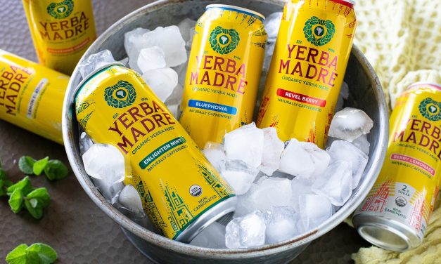 Yerba Madre Helps You Come To Life – Why Your Routine Needs A Plant-Powered Upgrade!