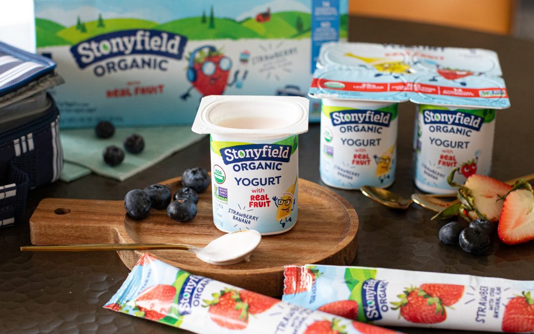 From Playgrounds to Picnics – Stonyfield Organic Is The Ultimate Spring Snack Hack