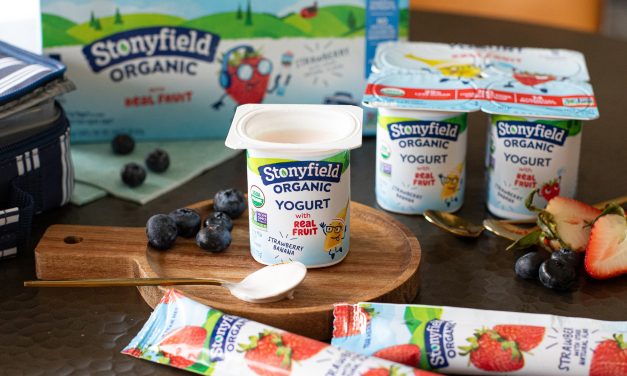From Playgrounds to Picnics – Stonyfield Organic Is The Ultimate Spring Snack Hack