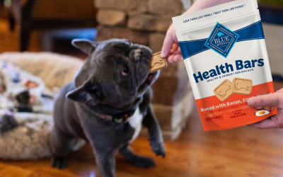 Blue Buffalo Health Bars As Low As $2 At Publix