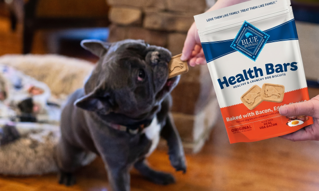 Blue Buffalo Health Bars As Low As $2 At Publix
