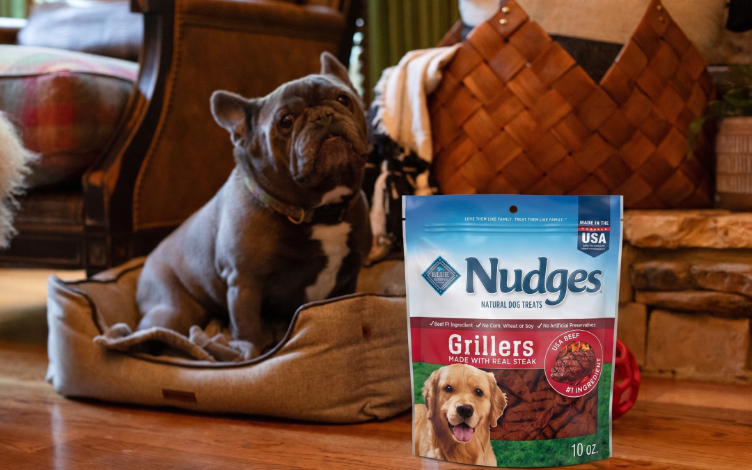Blue Buffalo Nudges Dog Treats As Low As $5.50 At Publix