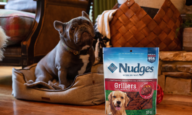 Blue Buffalo Nudges Dog Treats As Low As $5.50 At Publix