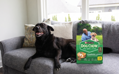 Purina Dog Chow As Low As $2.75 Per Bag At Publix With The BOGO Coupon