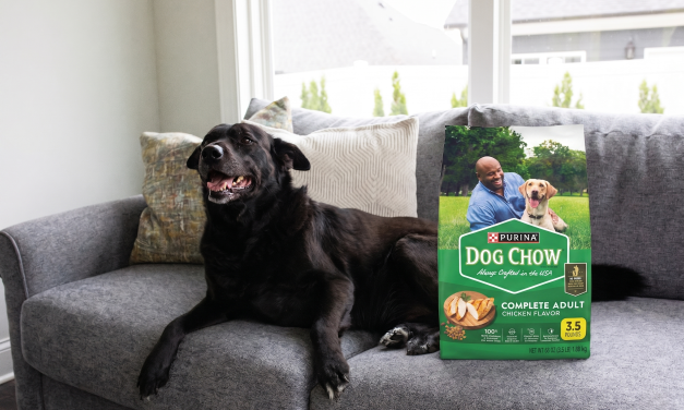 Purina Dog Chow As Low As $2.75 Per Bag At Publix With The BOGO Coupon
