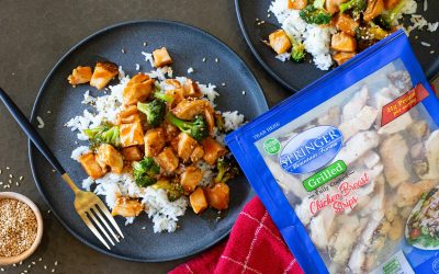 Springer Mountain Farms Chicken Strips As Low As $1.49 Per Bag At Publix