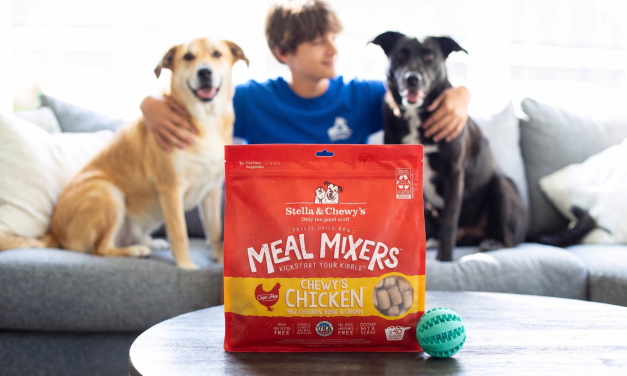 Get The Bags Of Stella & Chewy’s Meal Mixers For Just $5 At Publix- Half Price!