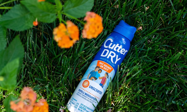 Cutter Insect Repellent As Low As $1.75 At Publix