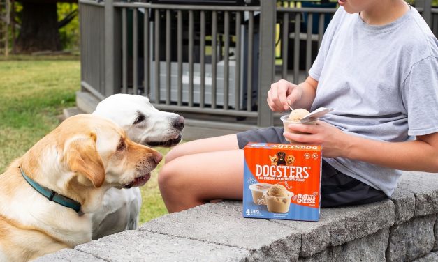 Dogsters Ice Cream Style Treats for Dogs 4-Packs Just $1.50 At Publix