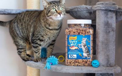 Get The Big Containers Of Friskies Cat Treats For Just $4 At Publix