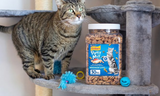 Get The Big Containers Of Friskies Cat Treats For Just $4 At Publix