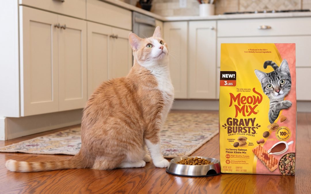 Grab A Great Deal On Meow Mix Cat Food This Week At Publix