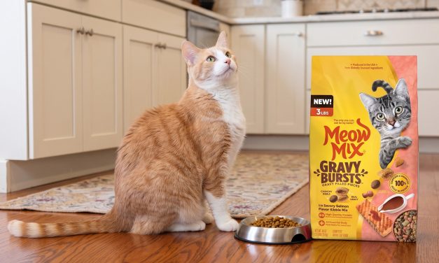 Grab A Great Deal On Meow Mix Cat Food This Week At Publix