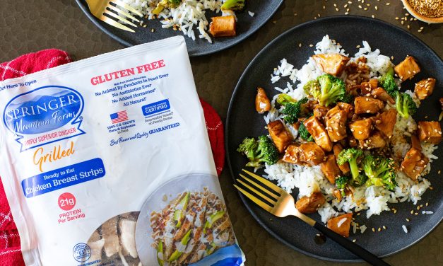 Springer Mountain Farms Chicken Strips As Low As $1 Per Bag At Publix