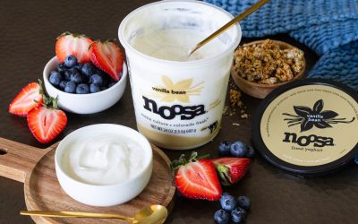 Get A Big Tub Of Noosa Finest Yoghurt As Low As $2.50 At Publix (Regular Price $6.99)