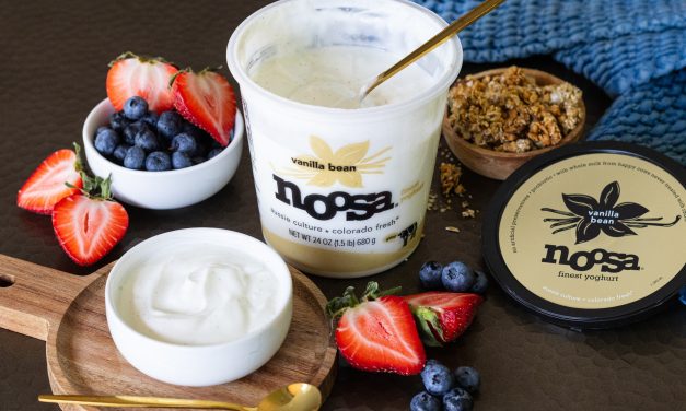 Get A Big Tub Of Noosa Finest Yoghurt As Low As $2.50 At Publix (Regular Price $6.99)